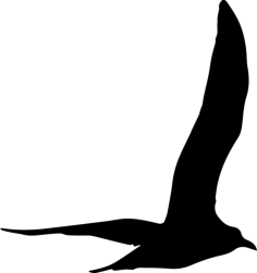 Gull Bird Flying Shape Printable Line Art Svg, Free Vectors File